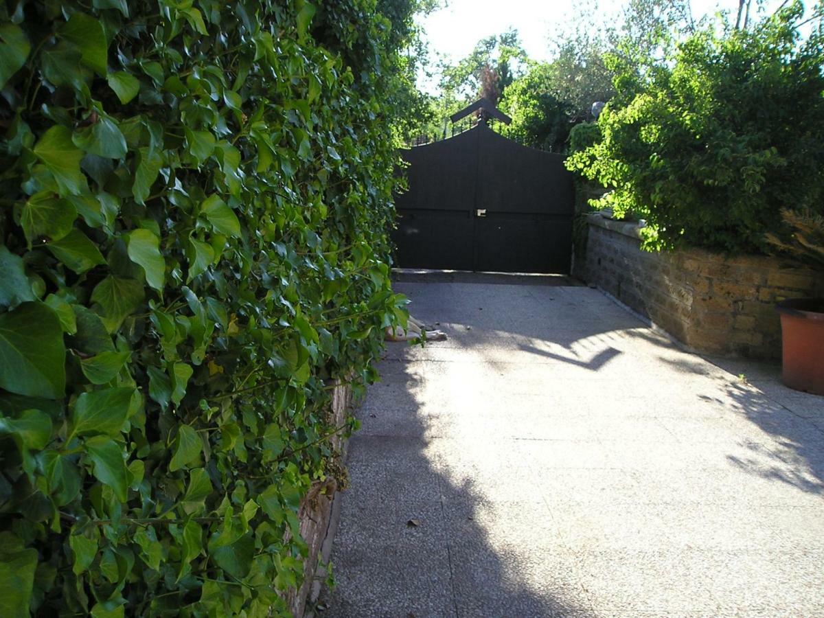 Villa Rosalba Camere Barbarano Romano エクステリア 写真